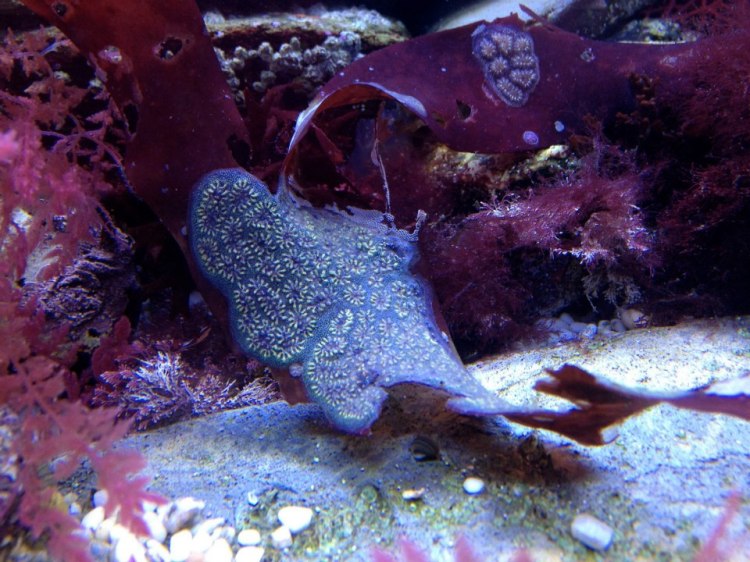 301290_10152068097775046_741170255_n