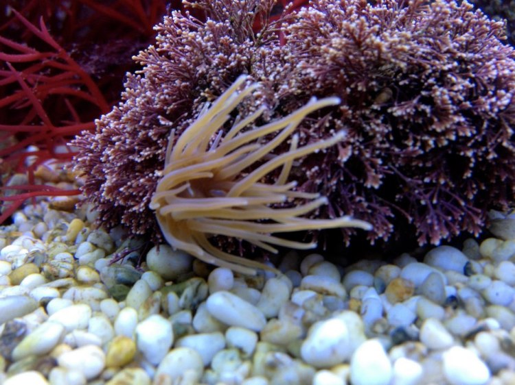 394229_10152068099165046_1256579628_n