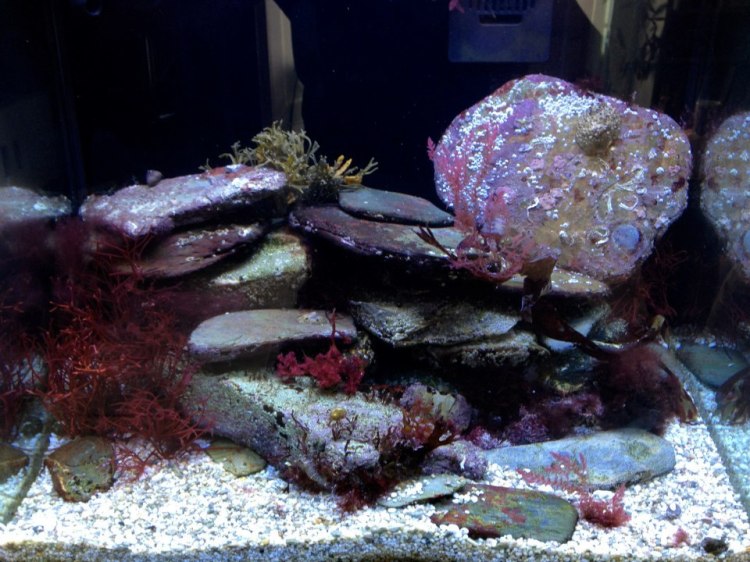 424667_10152068098300046_1201564886_n